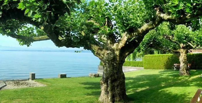 Apartman Ankerplatz 2 Immenstaad am Bodensee